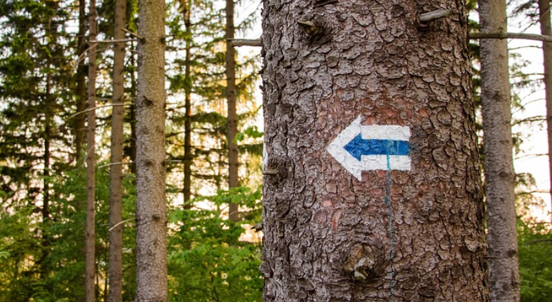 What Operational Maturity Really Looks Like in a $2–10M Business